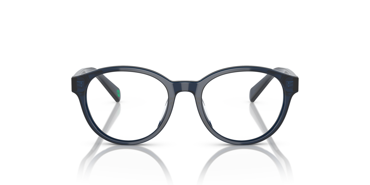 POLO PP8546U 5964 47