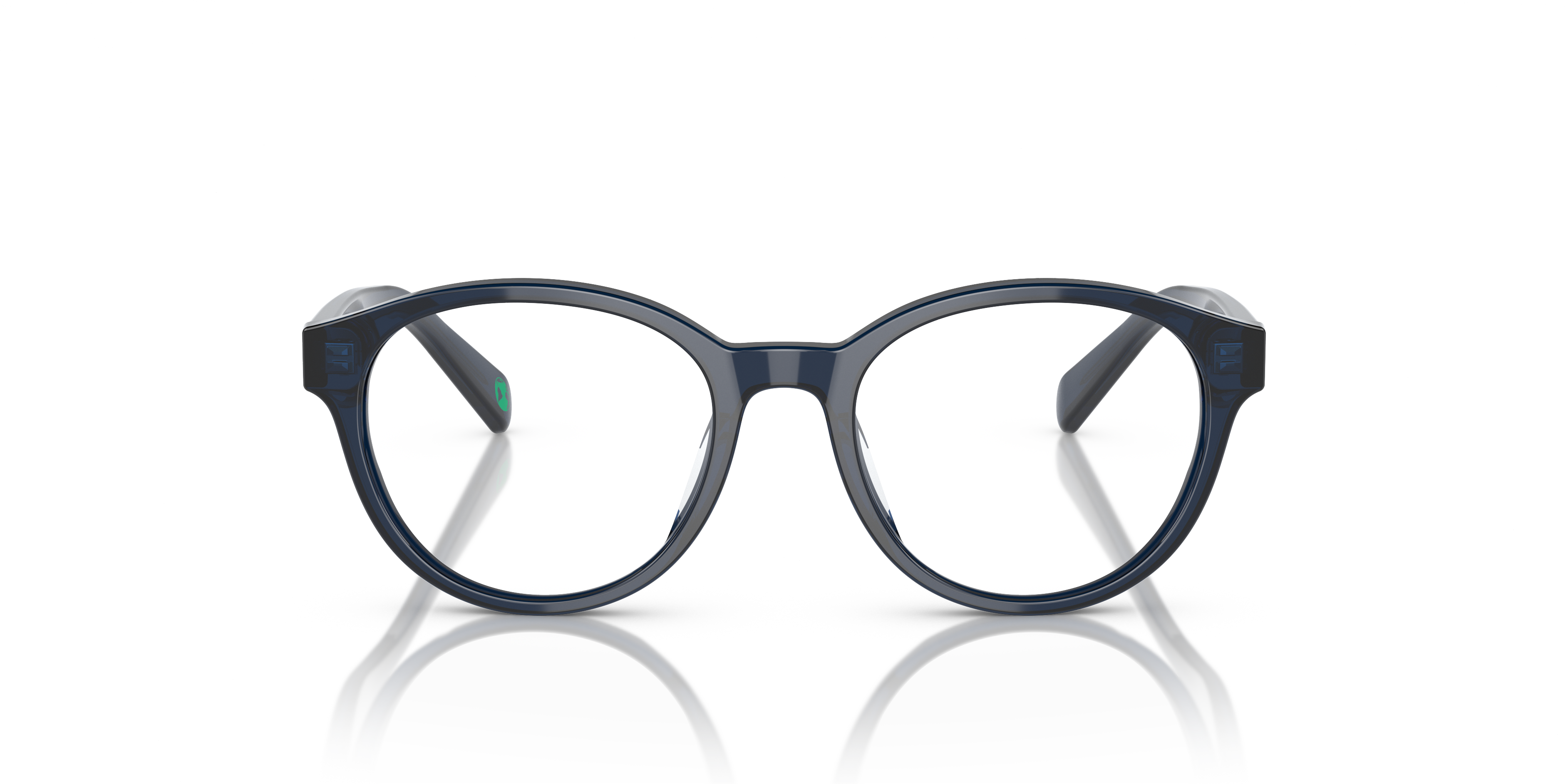 POLO PP8546U 5964 47