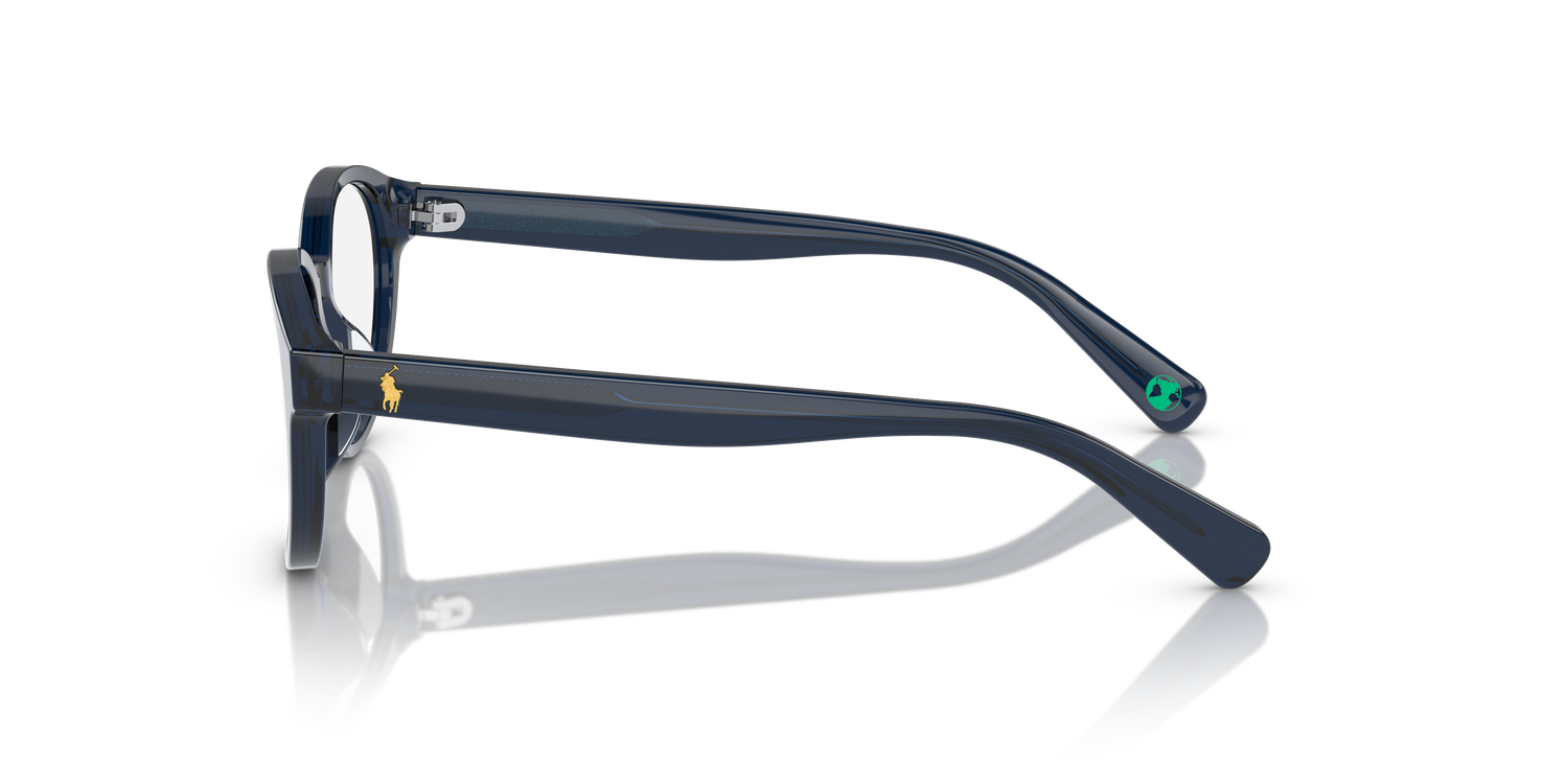 POLO PP8546U 5964 49