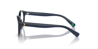 POLO PP8546U 5964 49