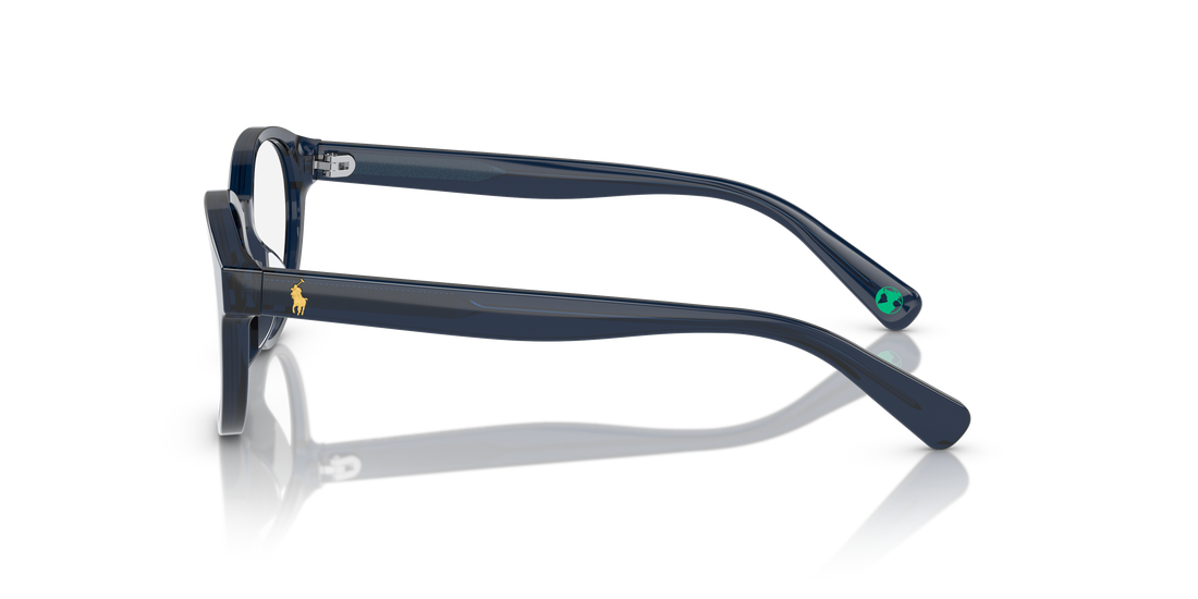 POLO PP8546U 5964 45