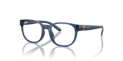 POLO PP8549U 5717 43