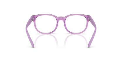 POLO PP8549U 5947 45