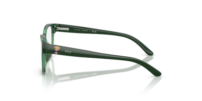 POLO PP8549U 6312 43