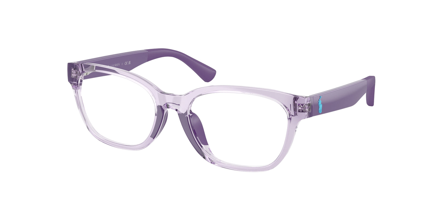 POLO PP8553U 5746 49