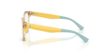 POLO PP8554U 5756 49