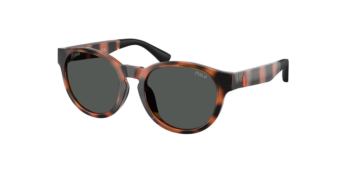 Lunettes de soleil polo pp9512u 597487 havana pantos infantil taille 45mm - Vue principale