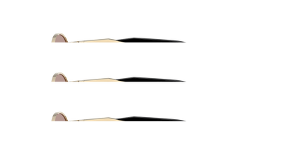 PRADA PR 65ZS ZVN20I 55