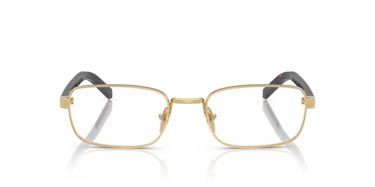 PRADA PR B54V 5AK1O1 54