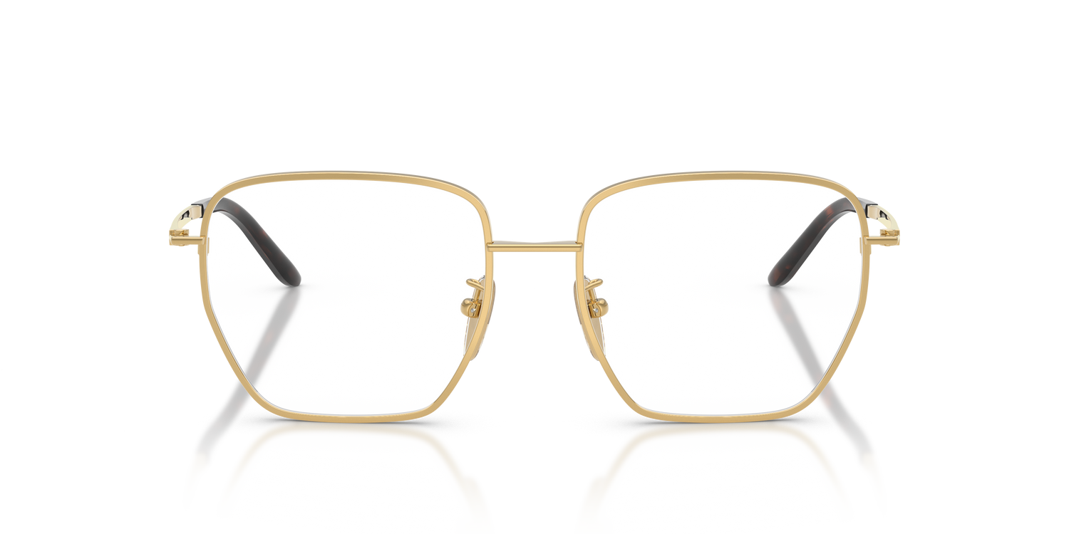 PRADA PR C51VD 5AK1O1 54