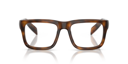 PRADA PR D02V 20D1O1 54