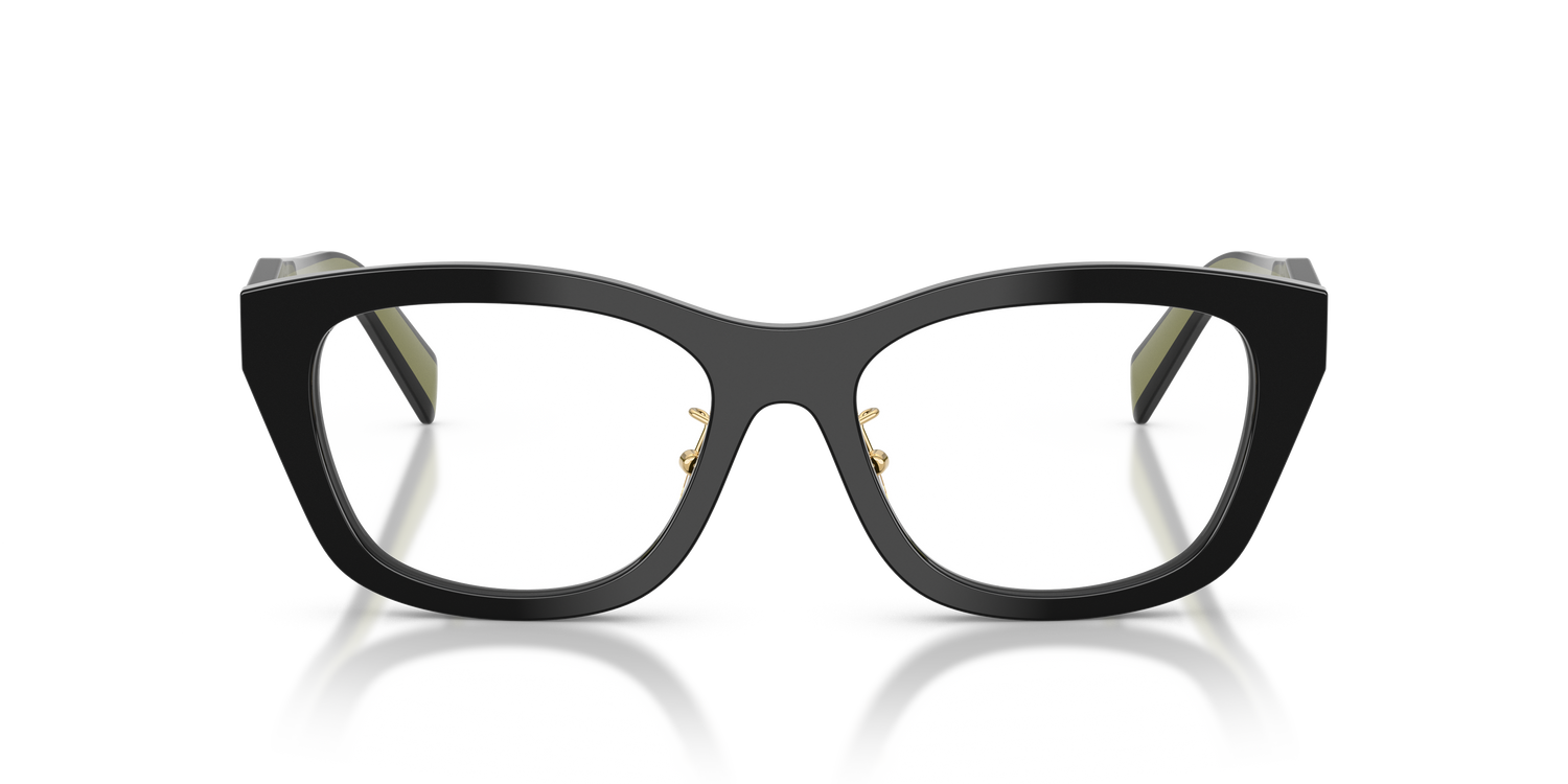 PRADA PR D11VD 03K1O1 53