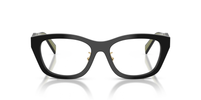 PRADA PR D11VD 03K1O1 53