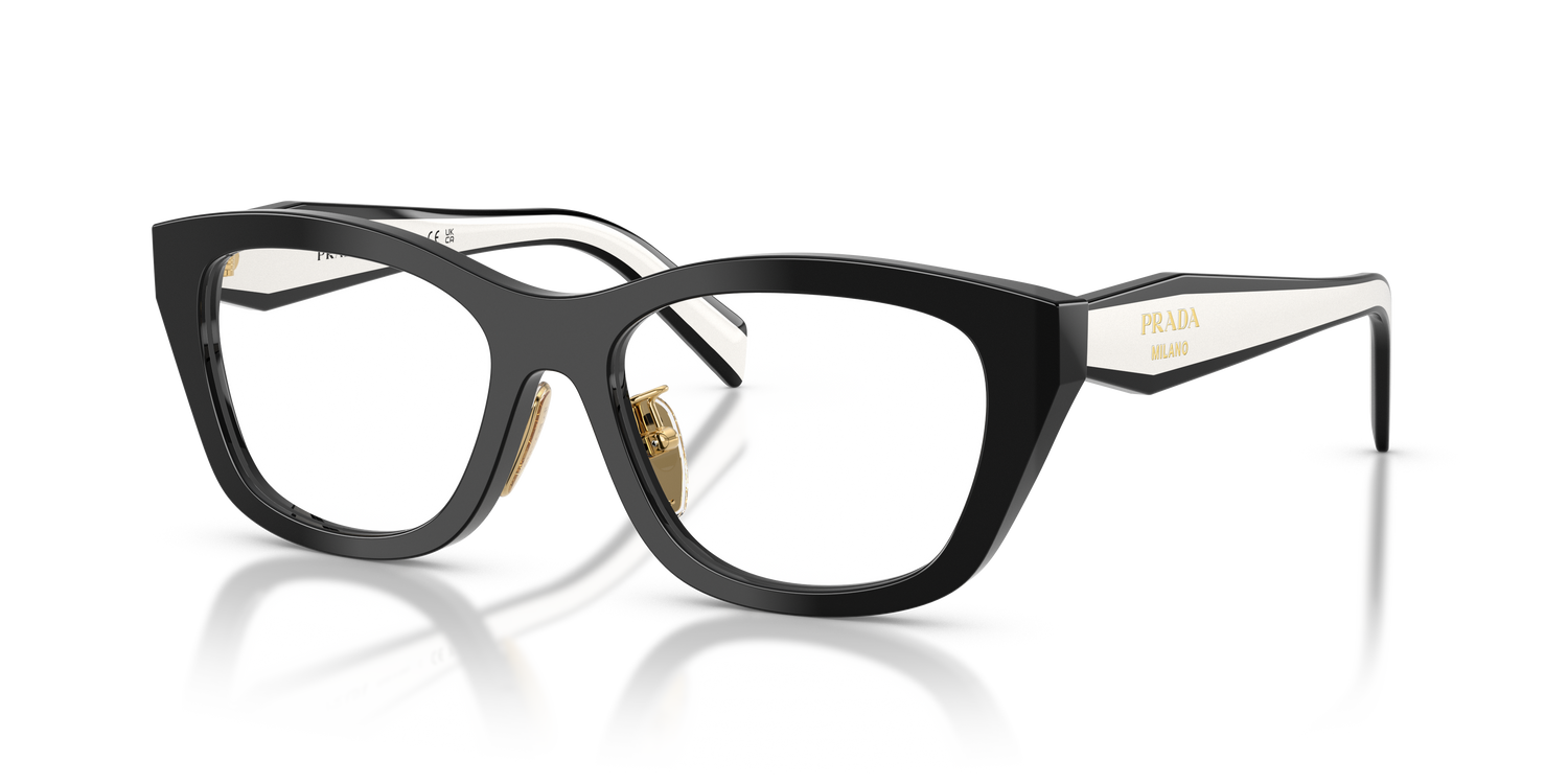 PRADA PR D11VD 20G1O1 53