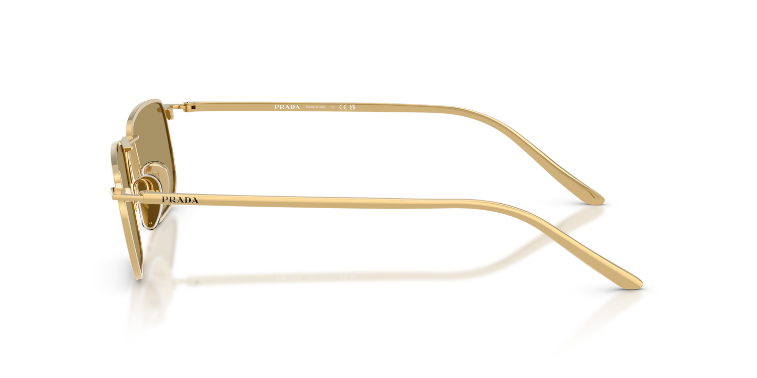 PRADA PR D52S 5AK70G 49