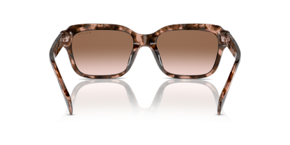 RALPH RA5312U 605813 55