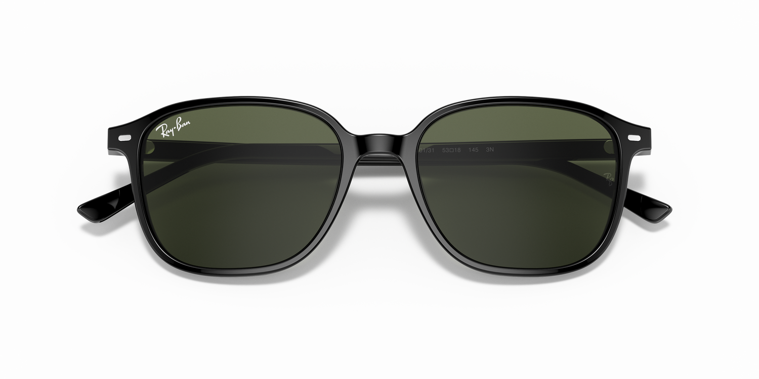 RAY-BAN RB2193 LEONARD 901/31 53