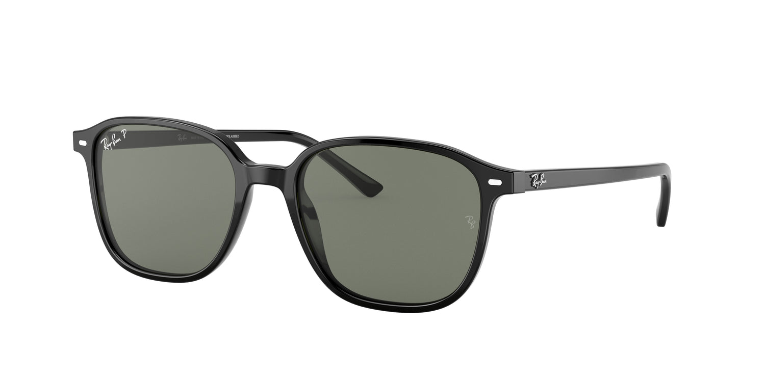 RAY-BAN RB2193 LEONARD 901/58 53