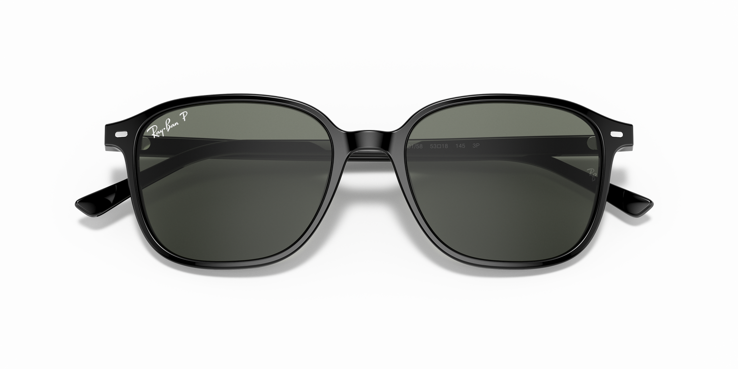 RAY-BAN RB2193 LEONARD 901/58 53