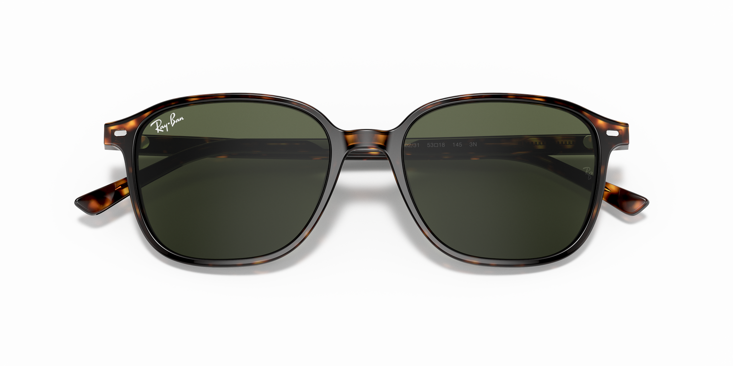 RAY-BAN RB2193 LEONARD 902/31 53