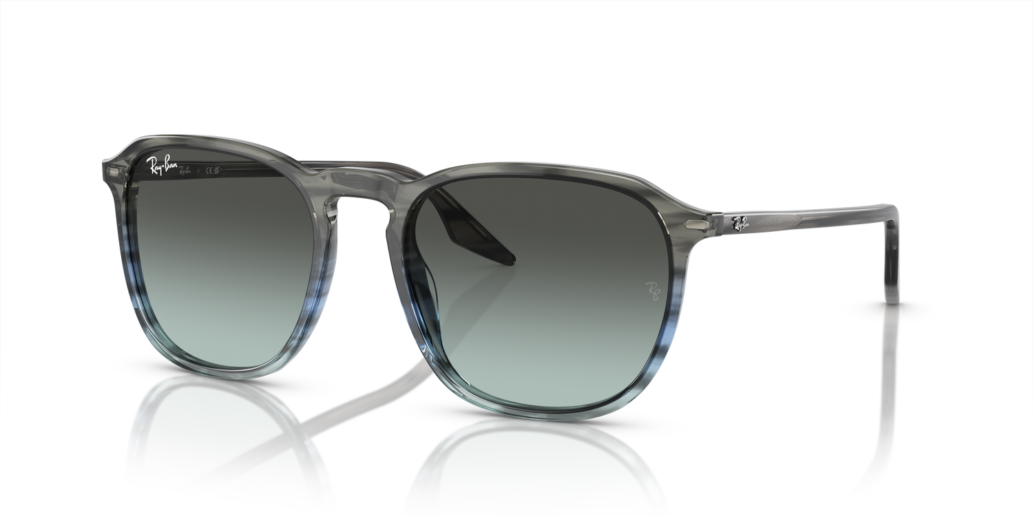 RAY-BAN RB2203 1391GK 55