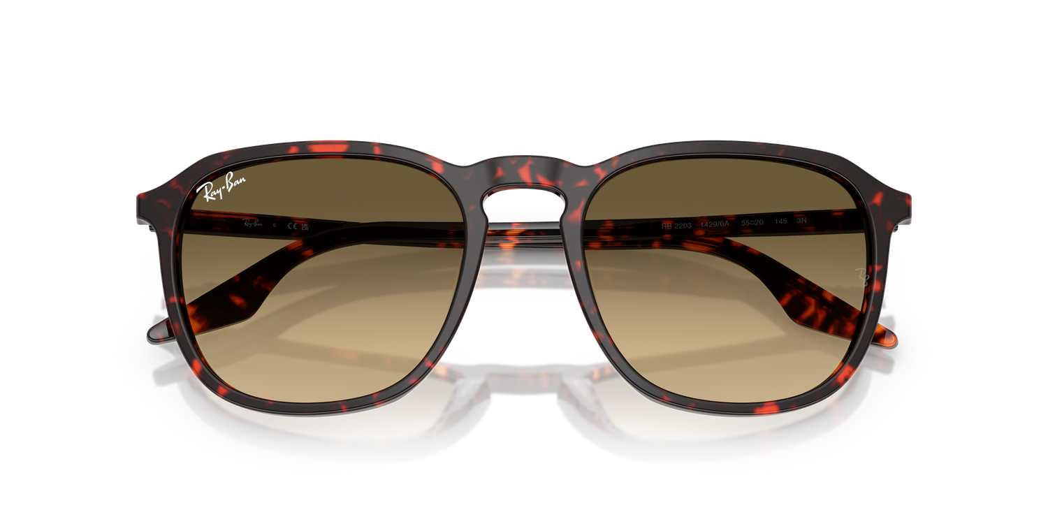 RAY-BAN RB2203 14290A 55