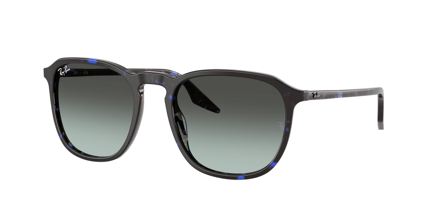 RAY-BAN RB2203 1430GK 55