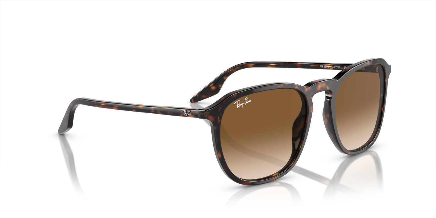 RAY-BAN RB2203 902/51 52