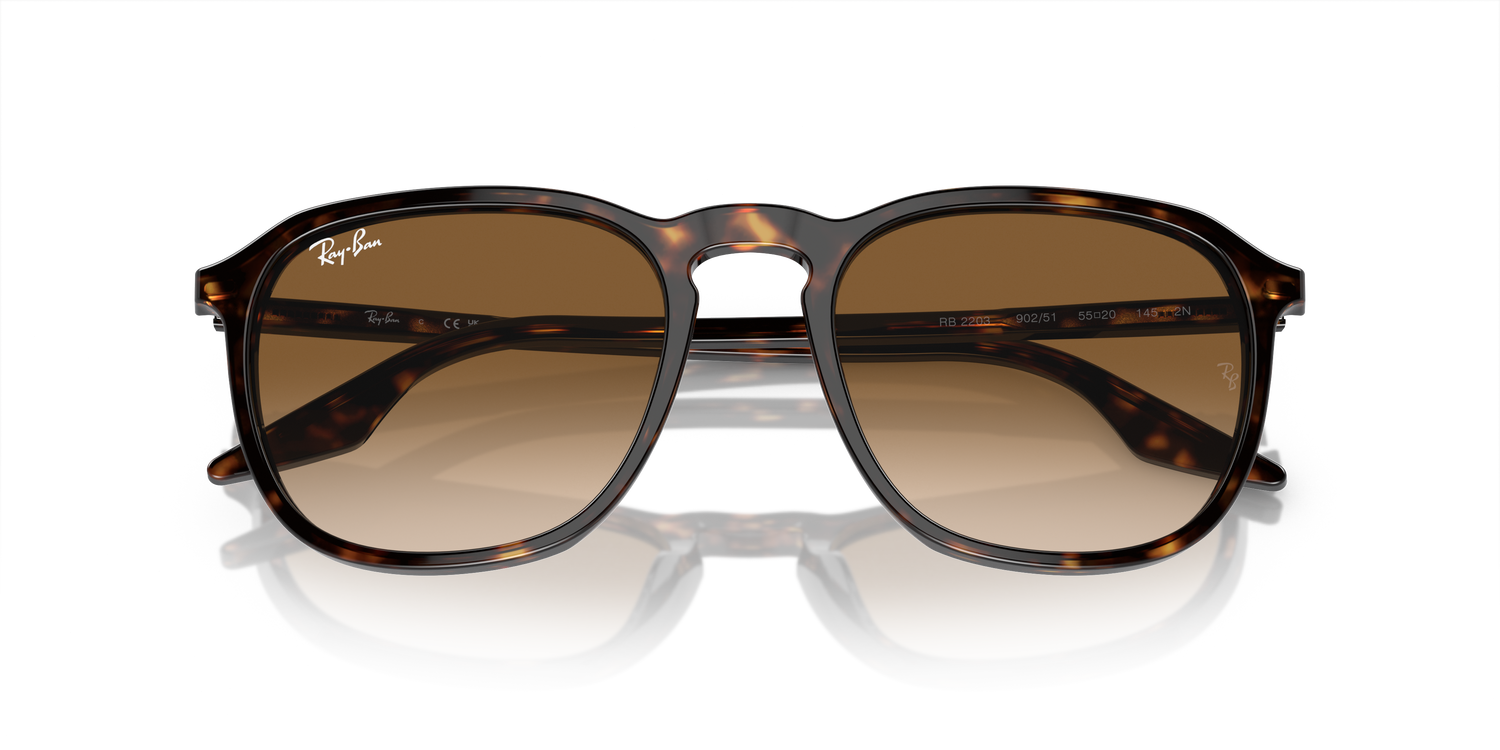 RAY-BAN RB2203 902/51 52