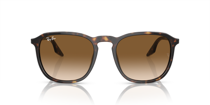 RAY-BAN RB2203 902/51 55