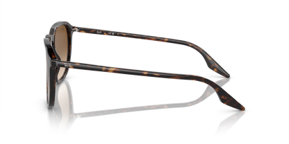 RAY-BAN RB2203 902/51 52 - 17