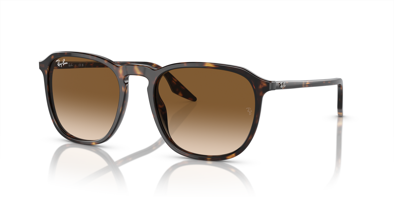 RAY-BAN RB2203 902/51 52