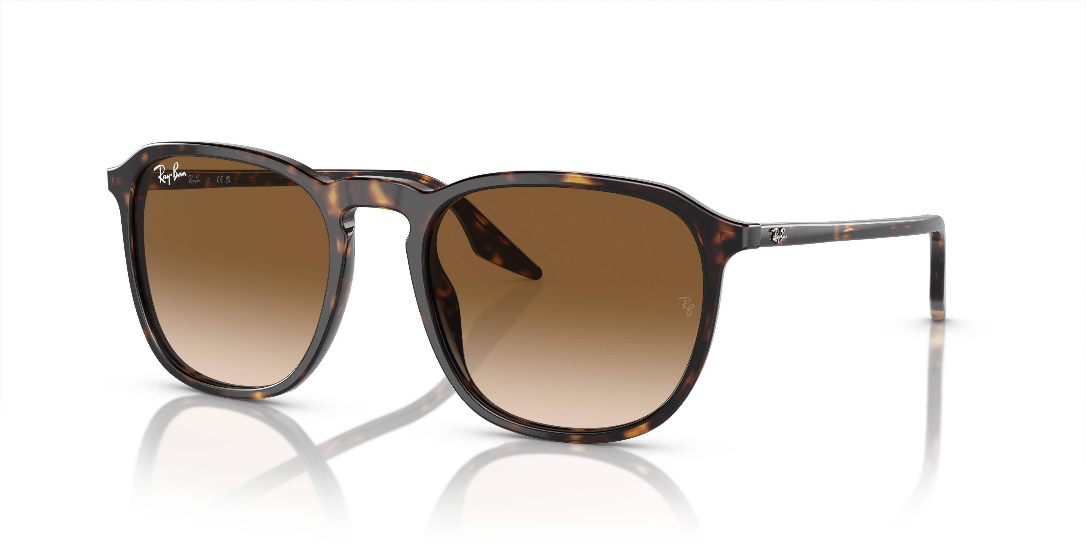 RAY-BAN RB2203 902/51 52