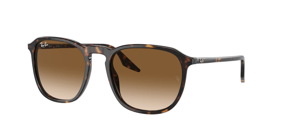 RAY-BAN RB2203 902/51 55