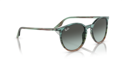 RAY-BAN RB2204 1394GK 54
