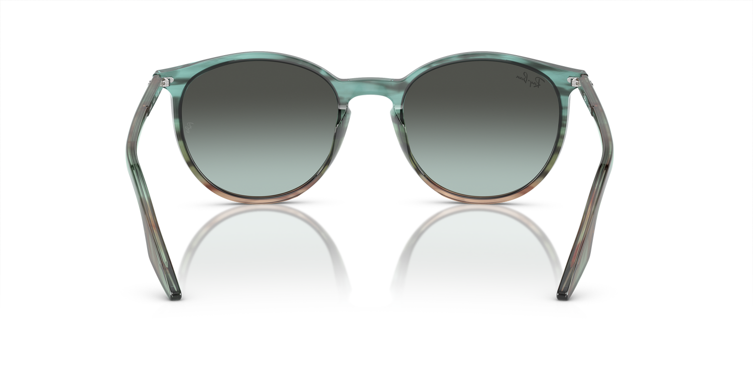 RAY-BAN RB2204 1394GK 54