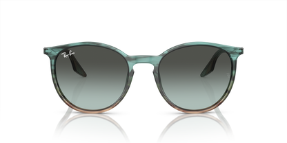 RAY-BAN RB2204 1394GK 54