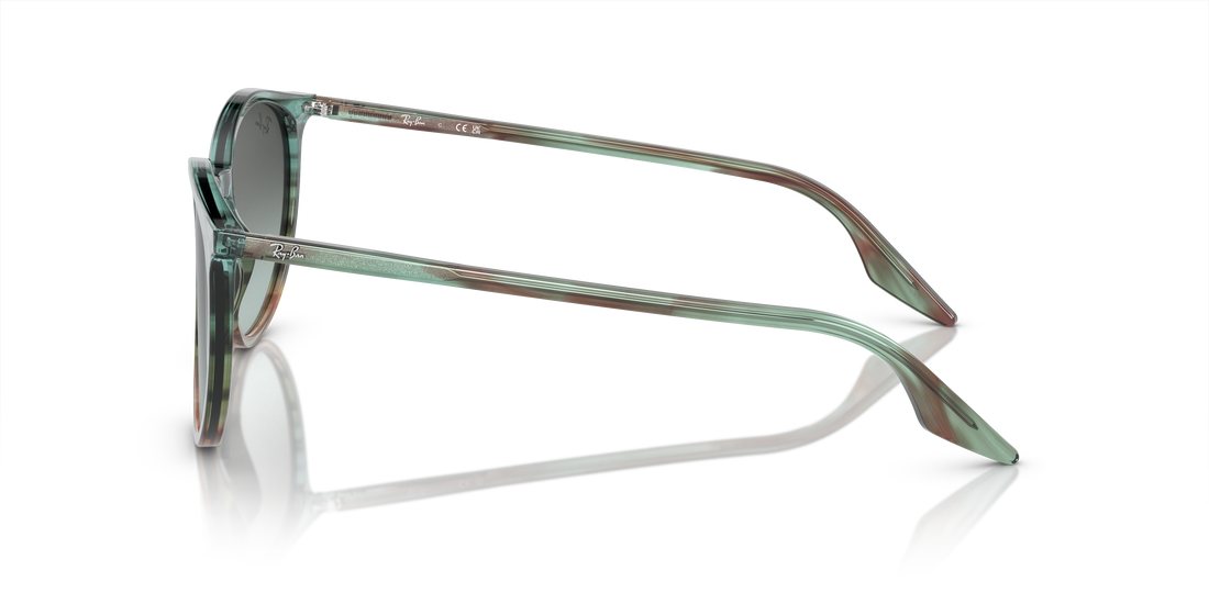 RAY-BAN RB2204 1394GK 54