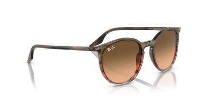 RAY-BAN RB2204 13953B 54