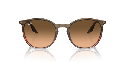 RAY-BAN RB2204 13953B 51