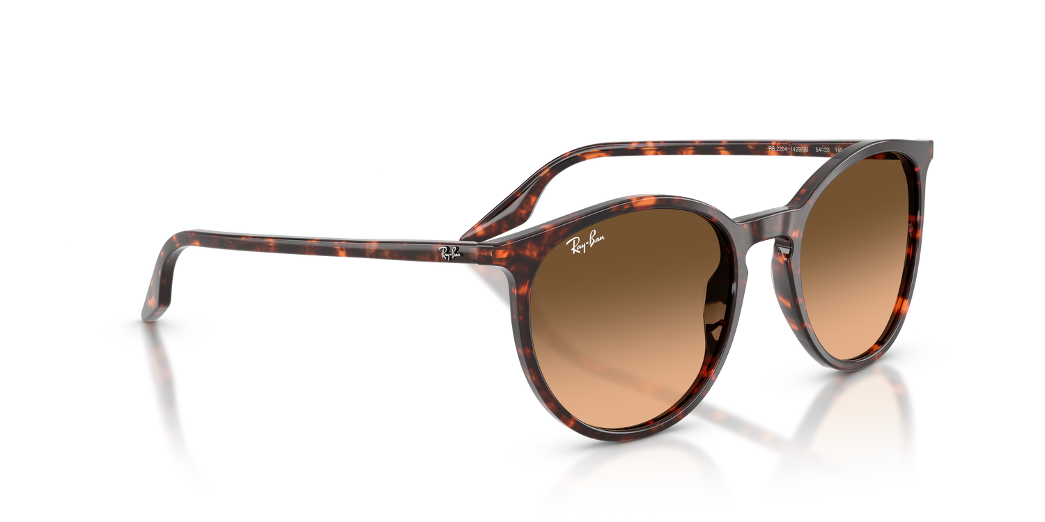 RAY-BAN RB2204 14293B 51