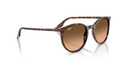 RAY-BAN RB2204 14293B 54