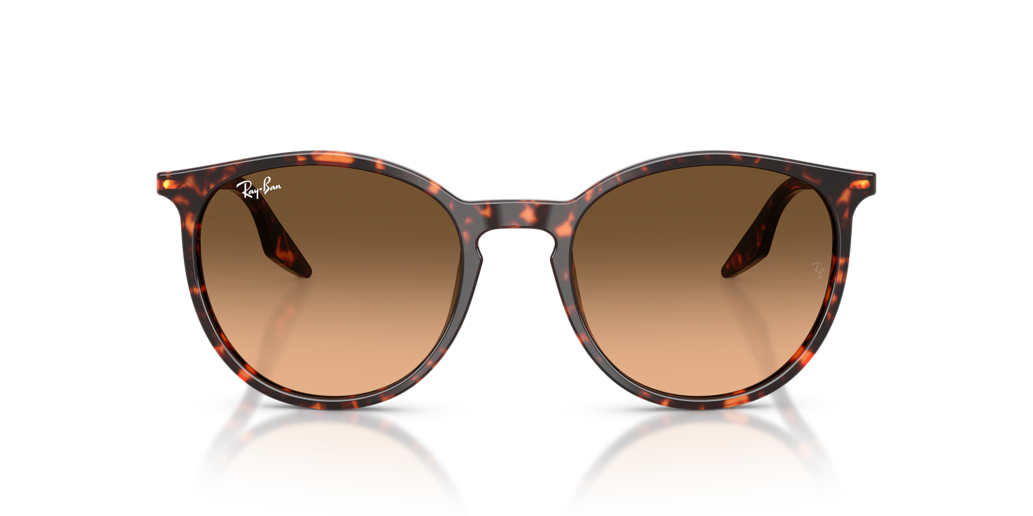 RAY-BAN RB2204 14293B 54