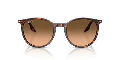 RAY-BAN RB2204 14293B 54