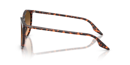 RAY-BAN RB2204 14293B 51