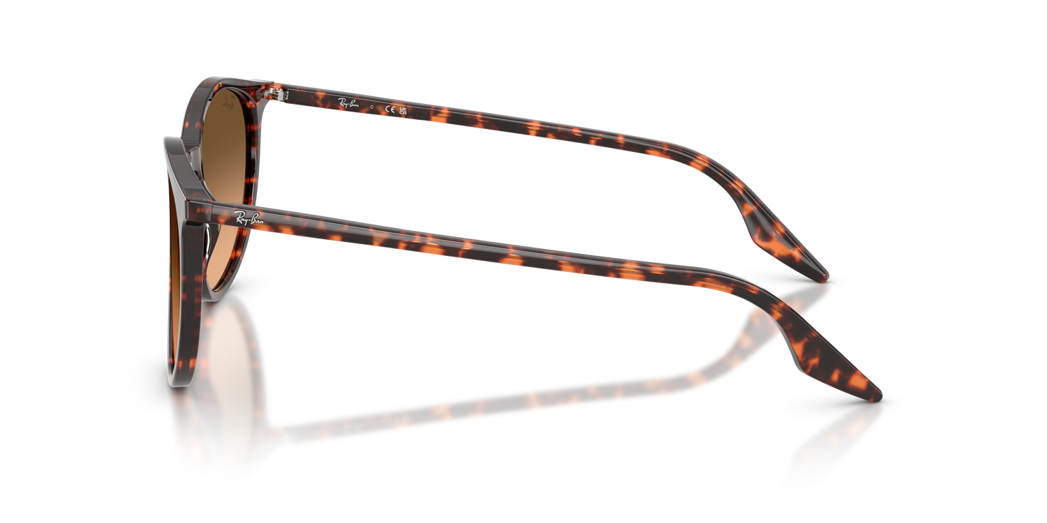 RAY-BAN RB2204 14293B 54