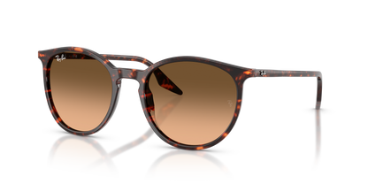 RAY-BAN RB2204 14293B 54