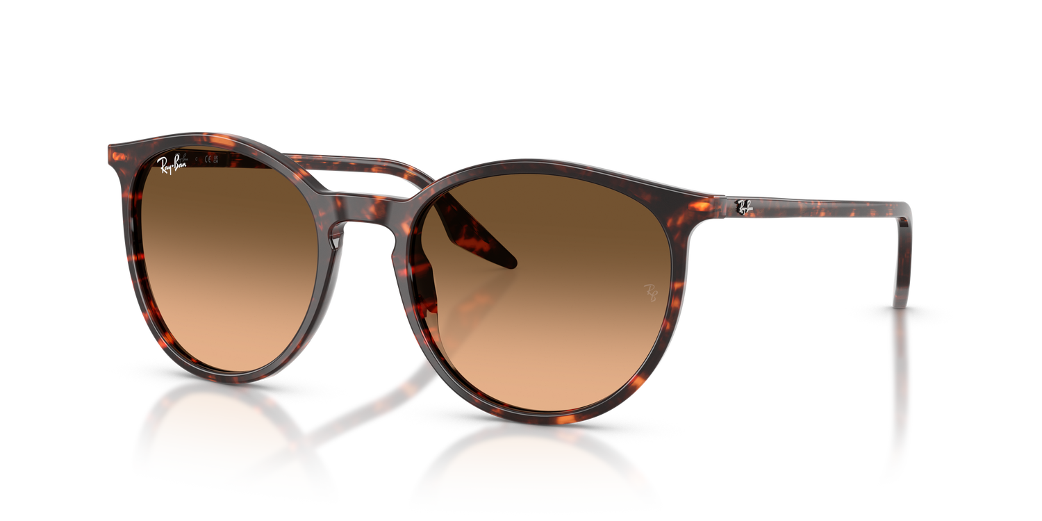 RAY-BAN RB2204 14293B 54