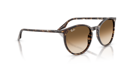 RAY-BAN RB2204 143151 51