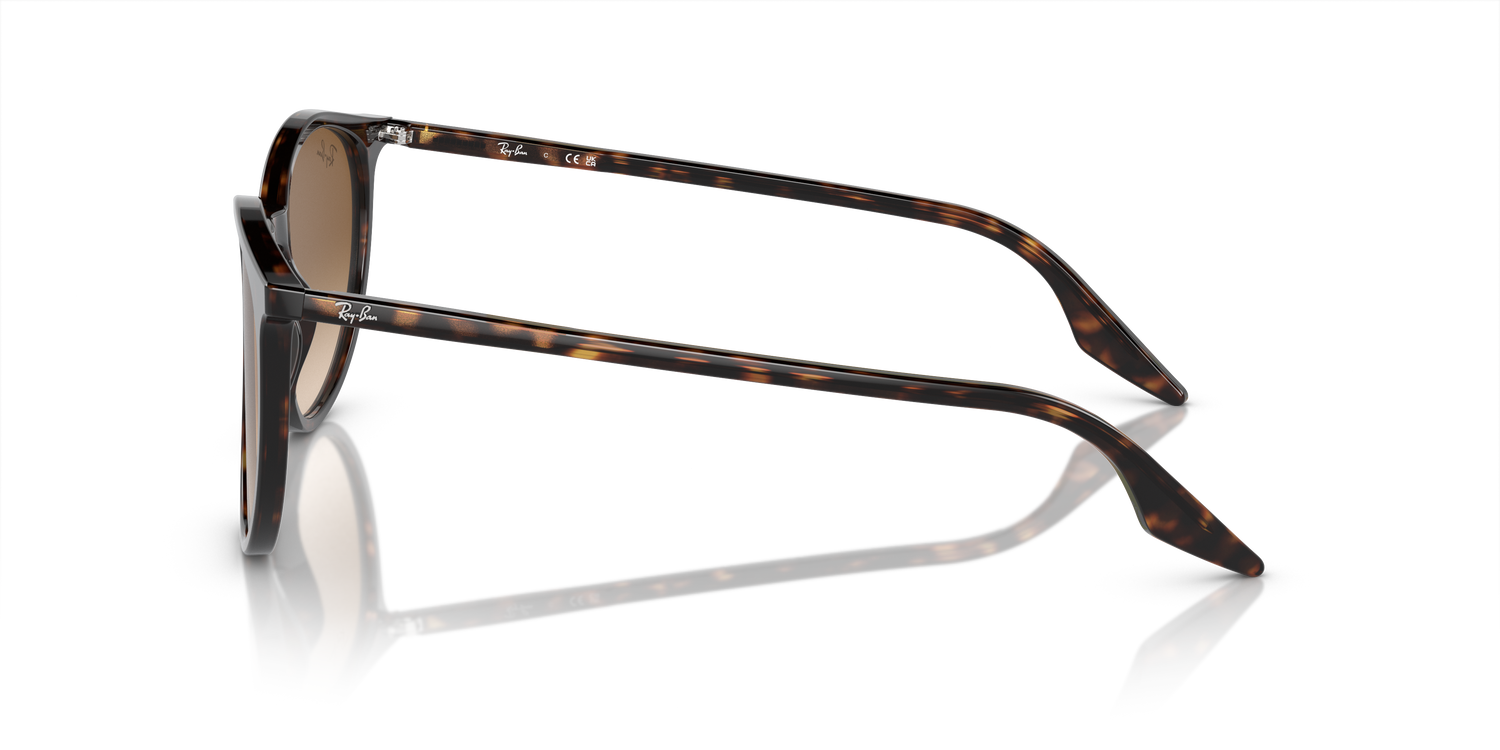 RAY-BAN RB2204 902/51 54